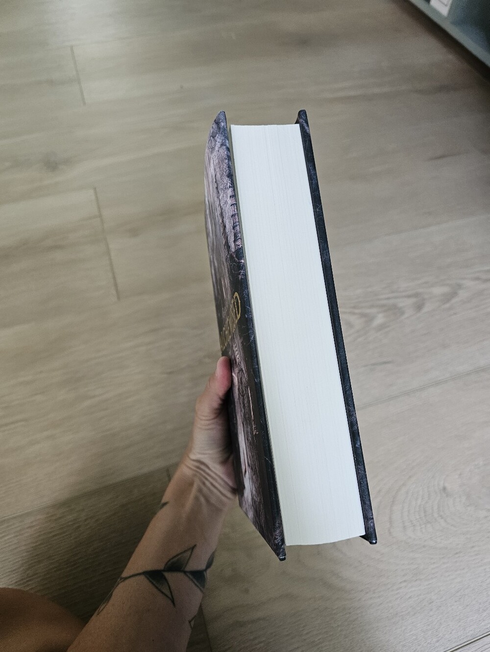 ALCHEMISED - SENLINYU dark fantasy hardcover book - Picture 2 of 4